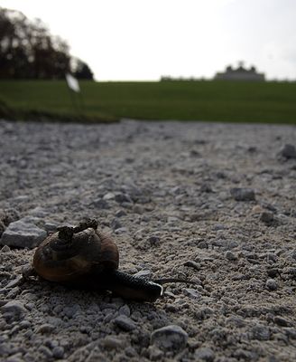 noch ein ganz schön langer weg...