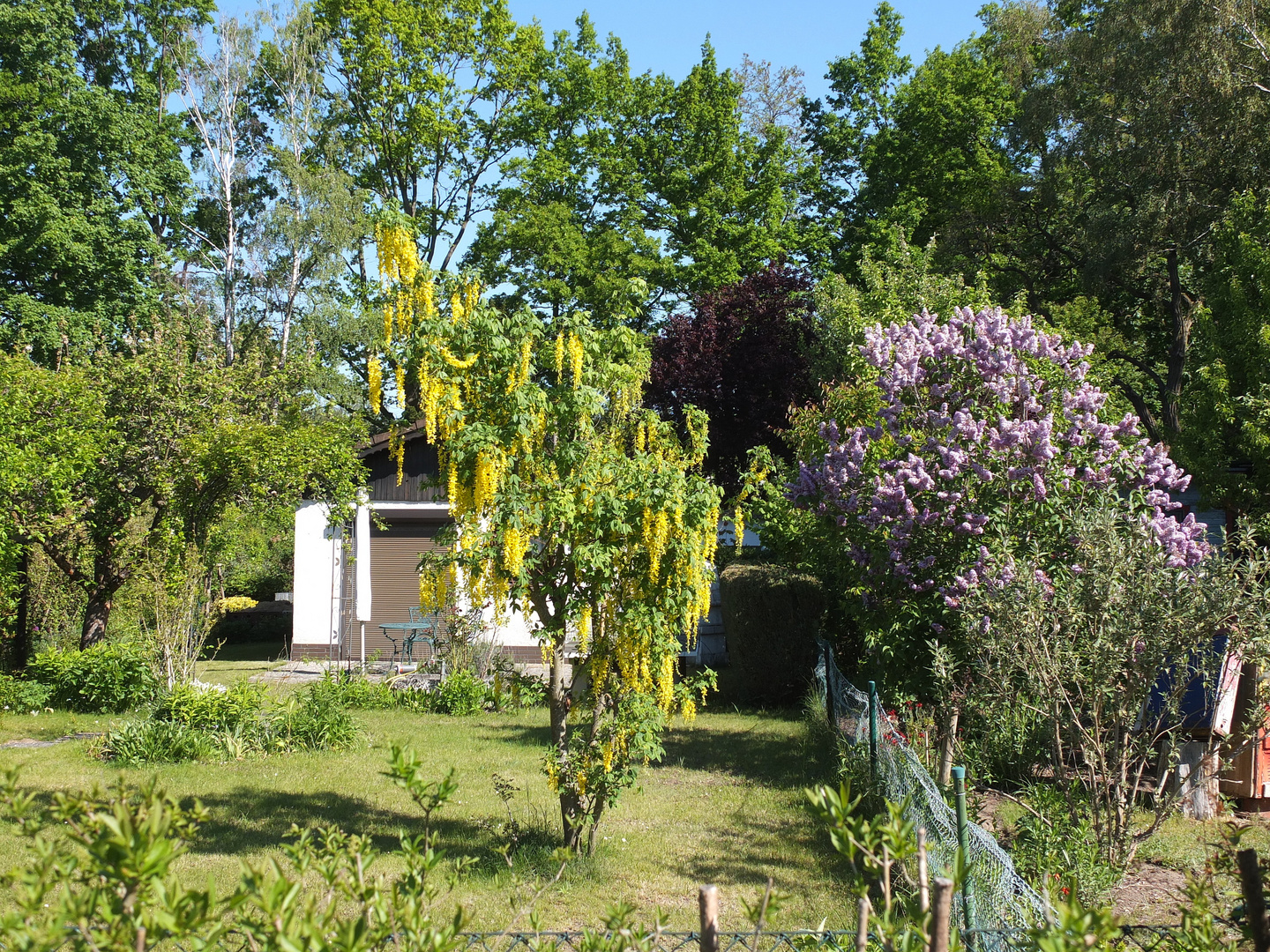 noch ein Gartenblick