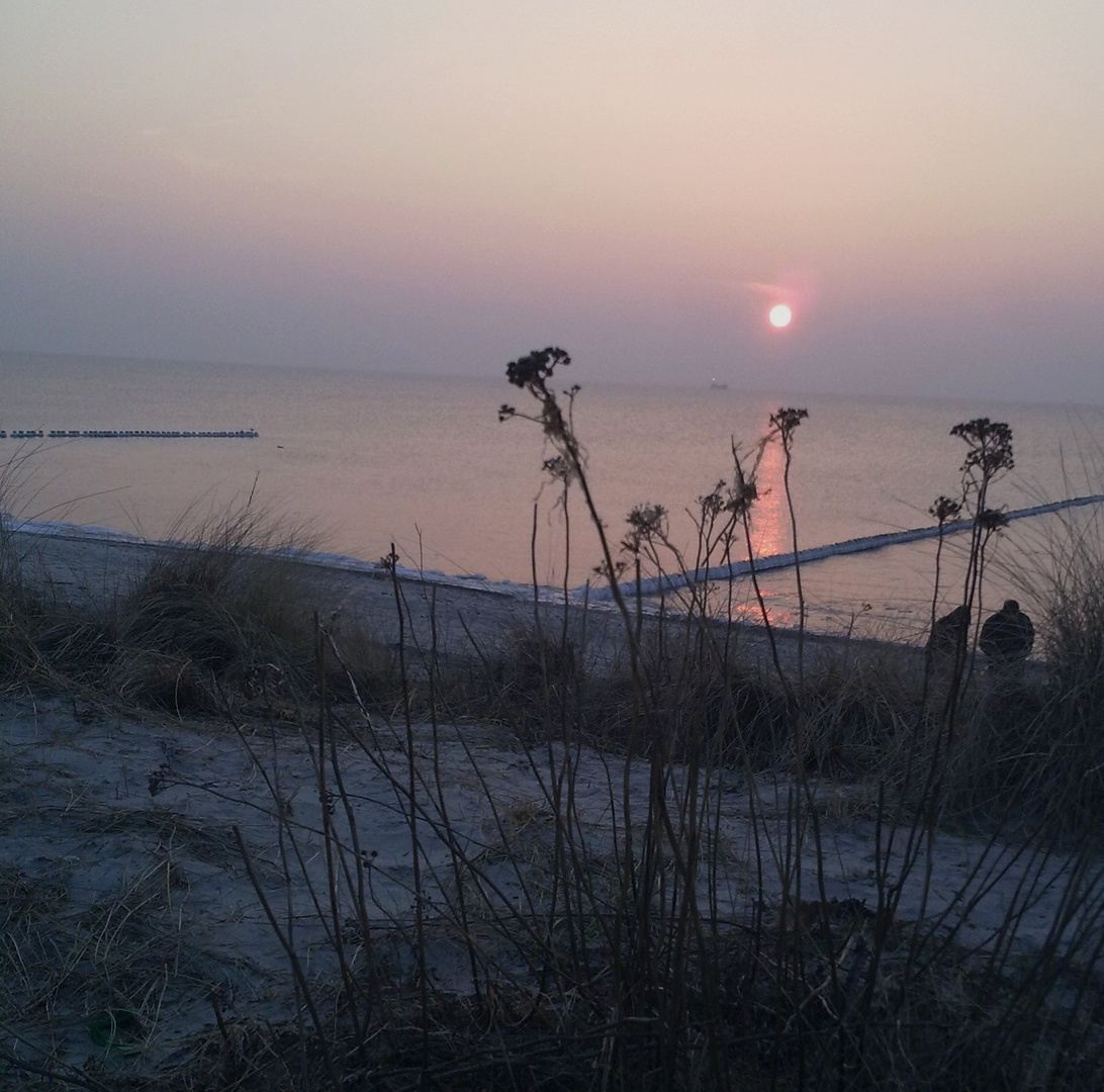 Noch ein Gegenlicht auf Hiddensee