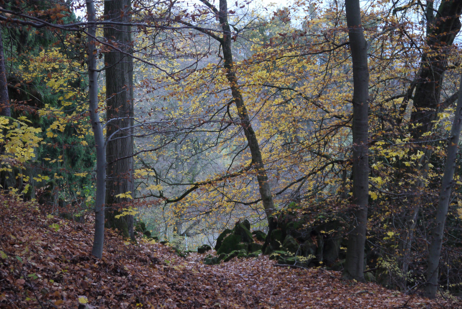 Noch ein generisches Herbstbild