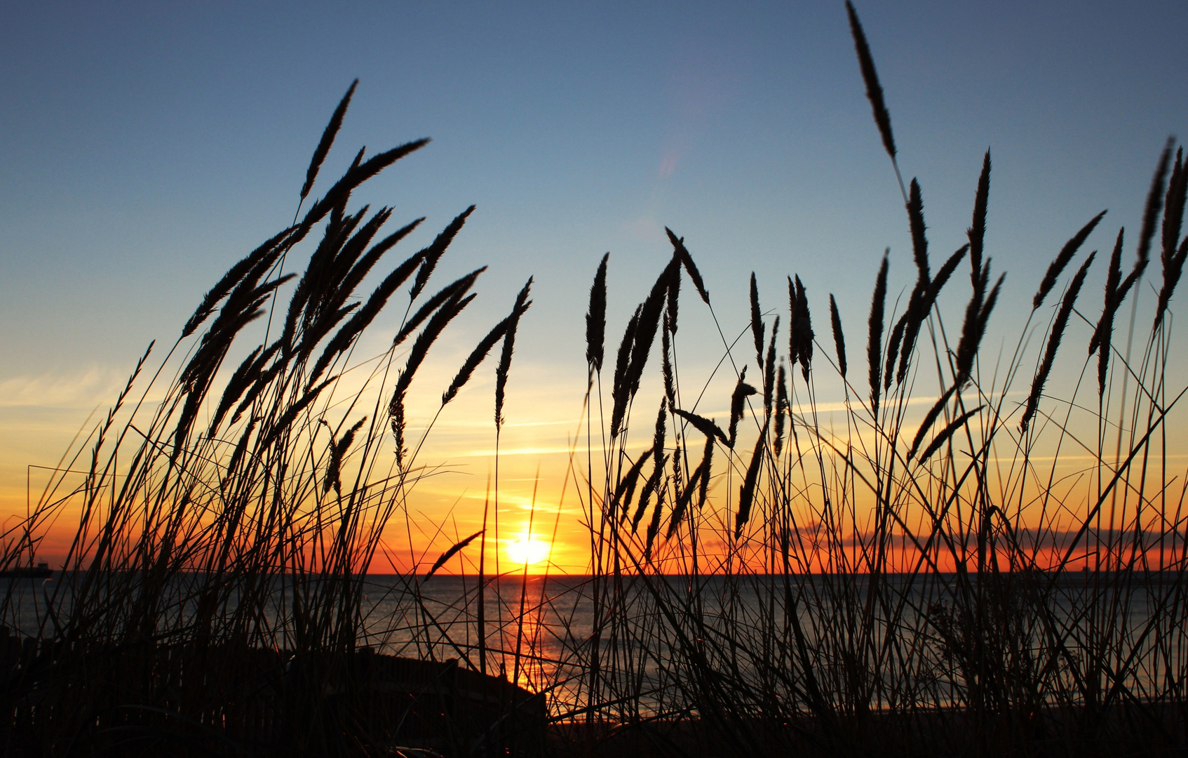 Noch ein Hauch Sommer in der Luft