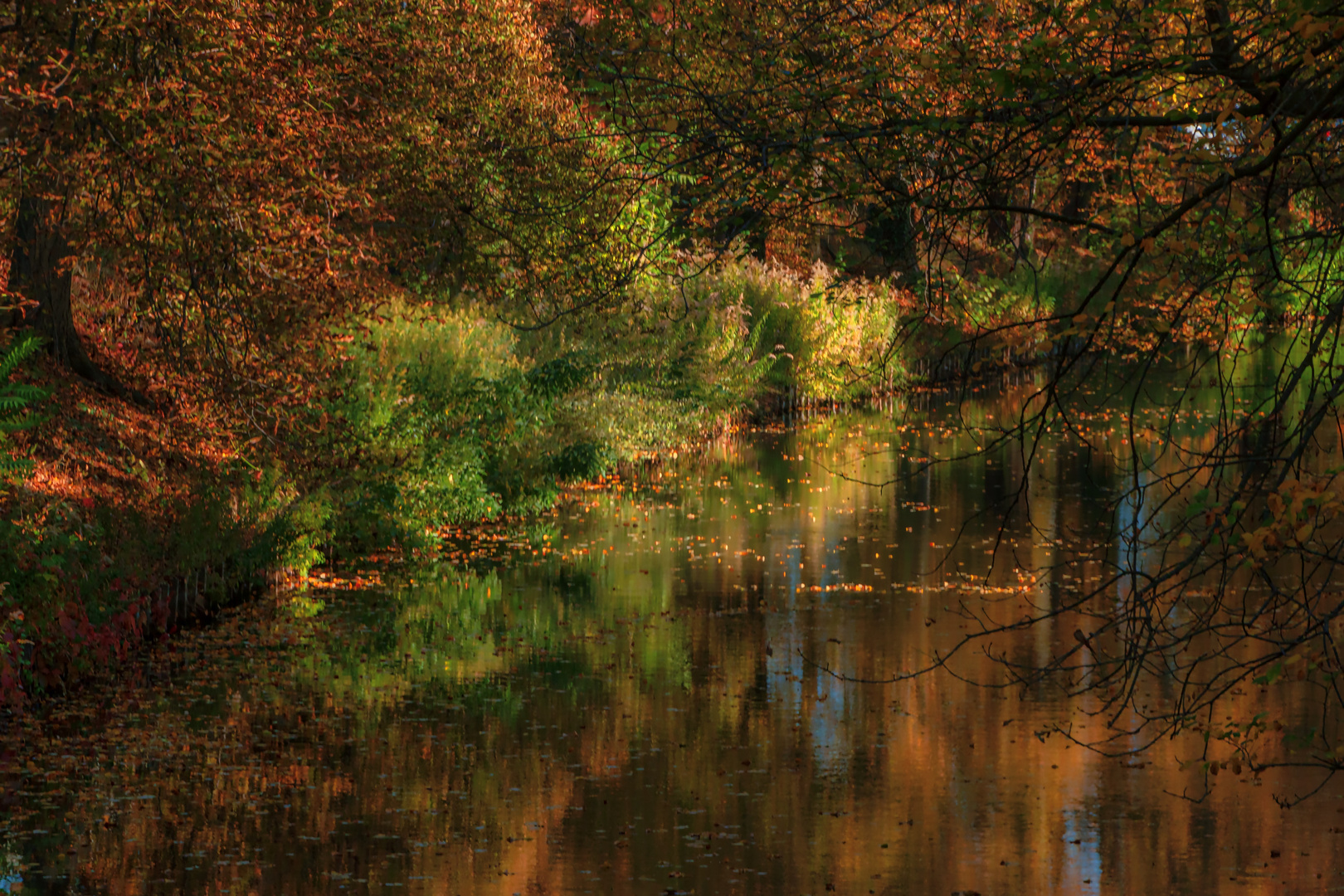 Noch ein Herbst - Bild ...