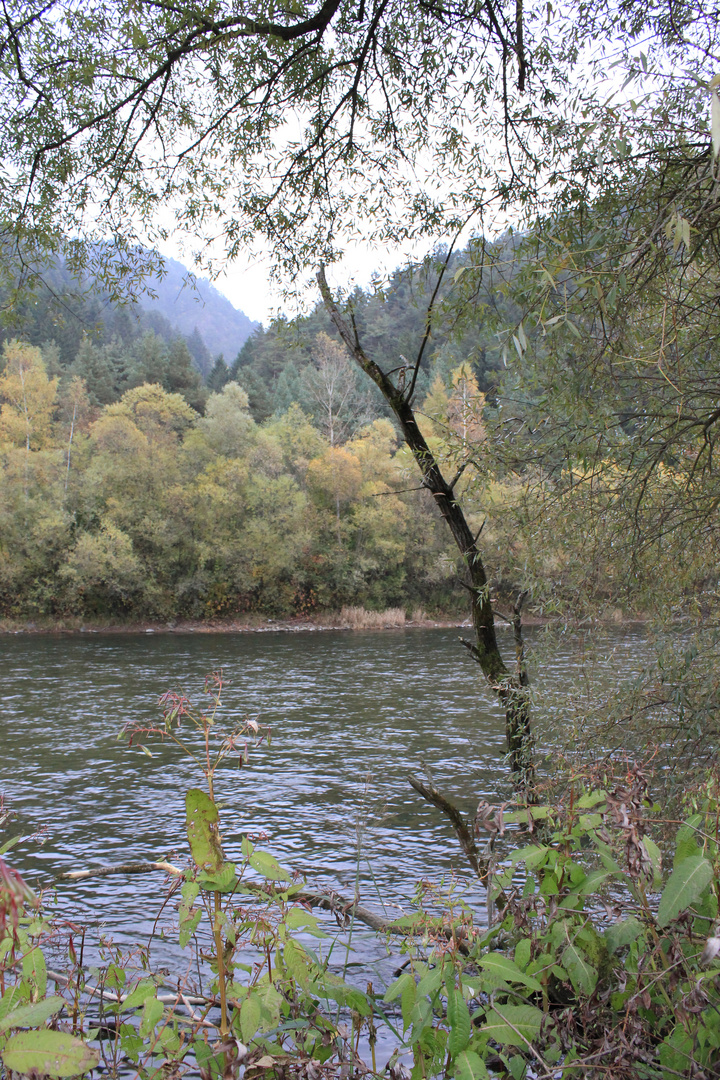 noch ein Herbstbild mit der Mur