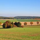 Noch ein Herbstblick...