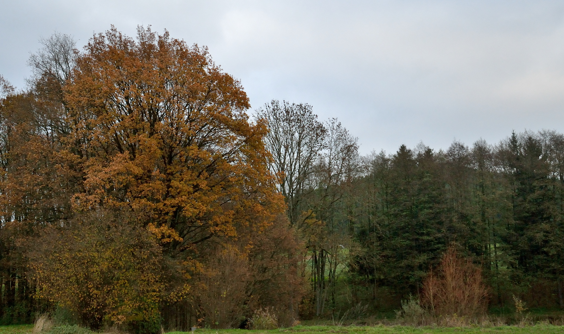 Noch ein Herbstmotiv