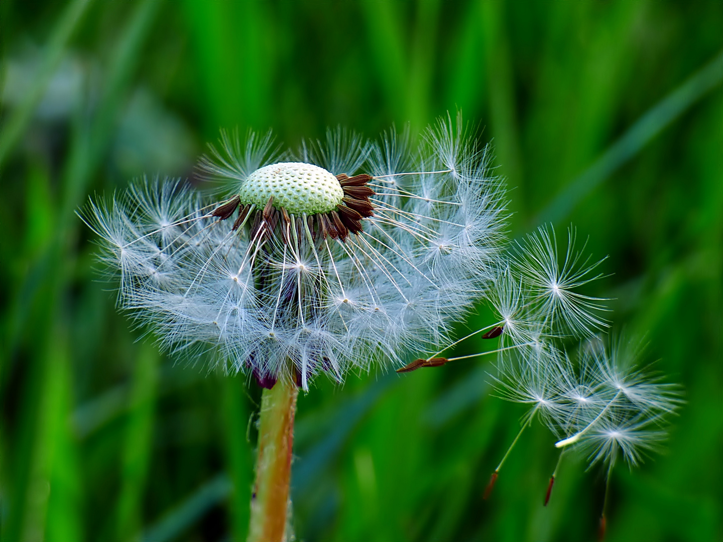 Noch ein leichter Windhauch, . . .