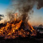 Noch ein Osterfeuer 2016