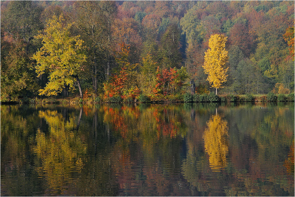 Noch ein paar Herbstfarben