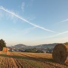 Noch ein paar Rundballen