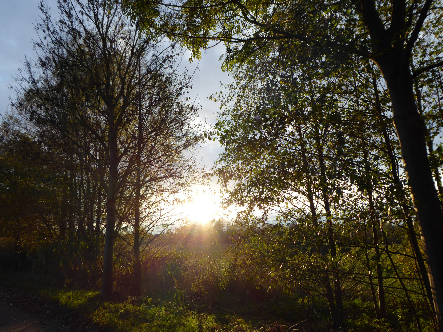 Noch ein paar Sonnenstrahlen zum Abend