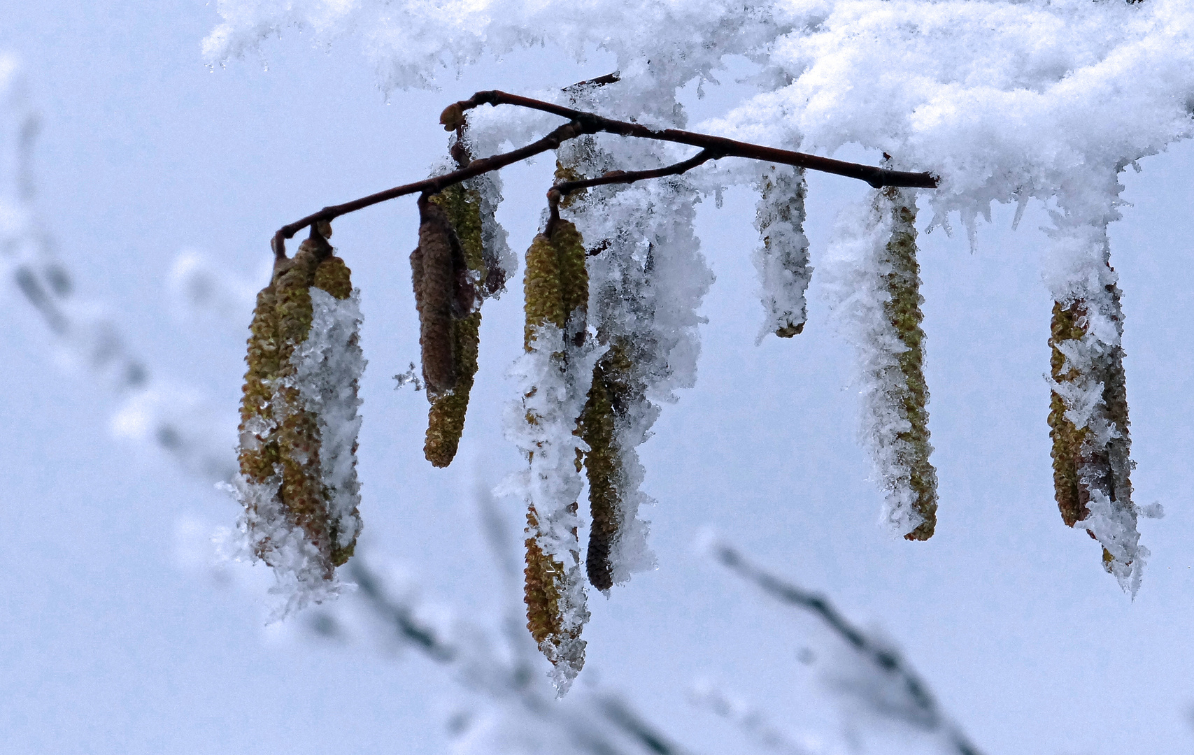 Noch ein paar Winterimpressionen ....