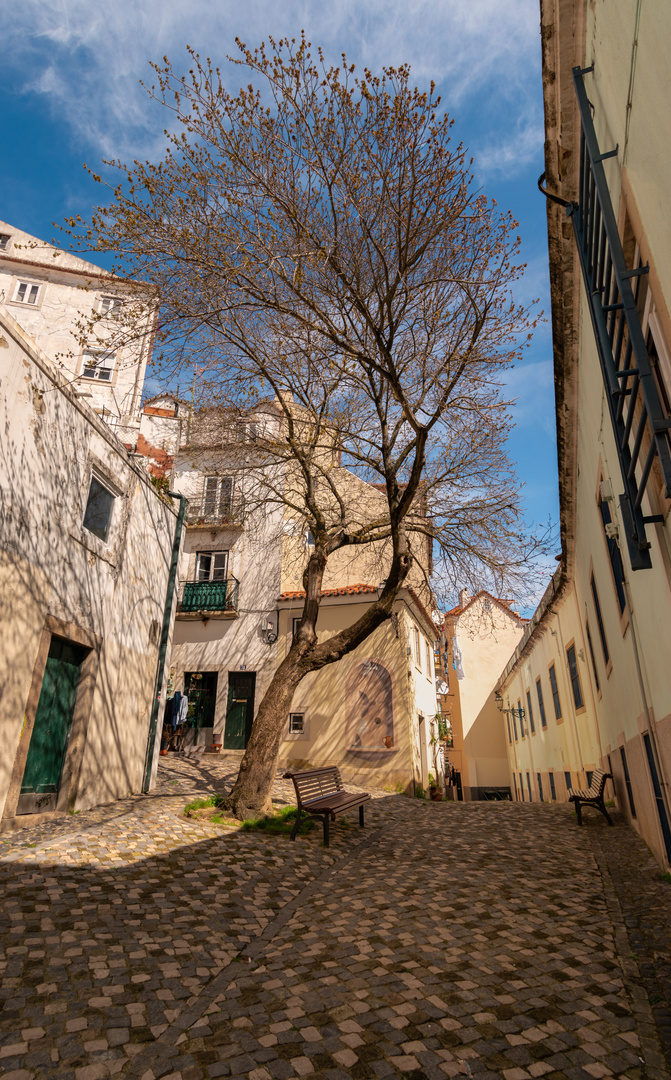 noch ein Plätzchen in Lissabons Altstadt