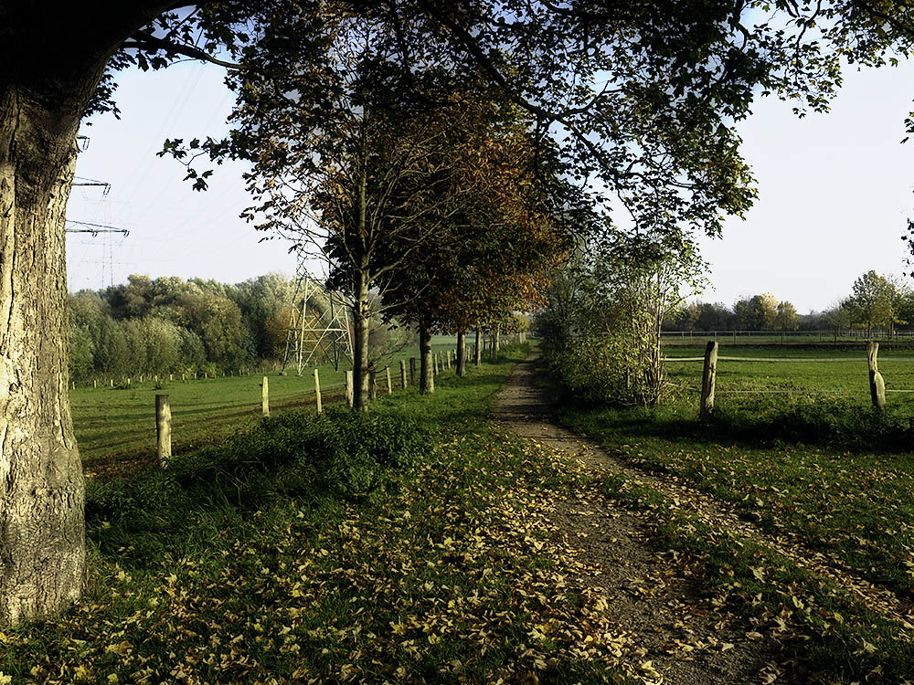 Noch ein schöner Herbst Tag,