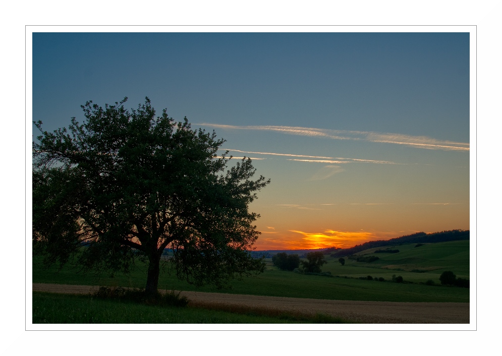 noch ein schöner Sommerabend