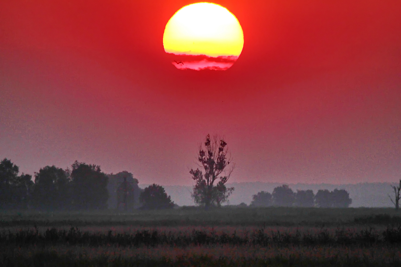 Noch ein Sonnenaufgang