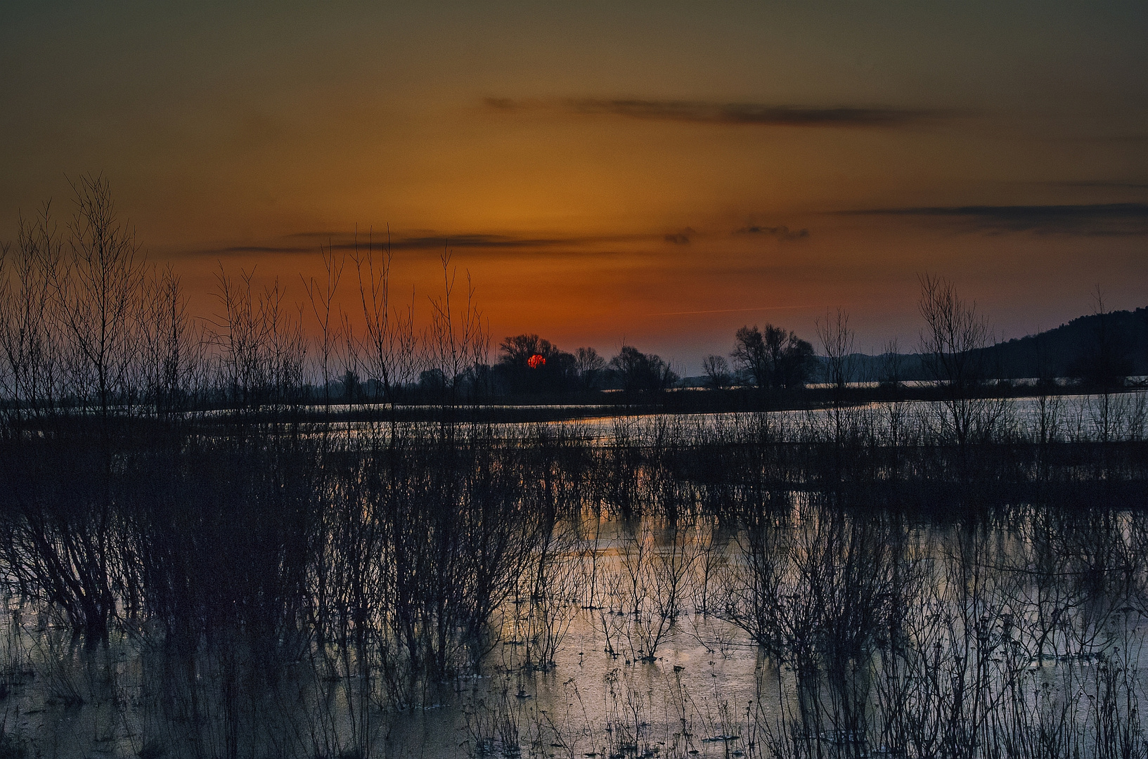 Noch ein Sonnenaufgang an der Elbe