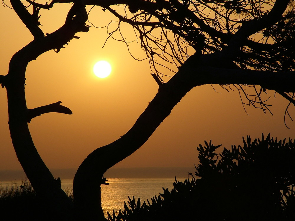 noch ein Sonnenaufgang in Spanien an der Costa Brava bei Palamos von einem anderen Standpunkt