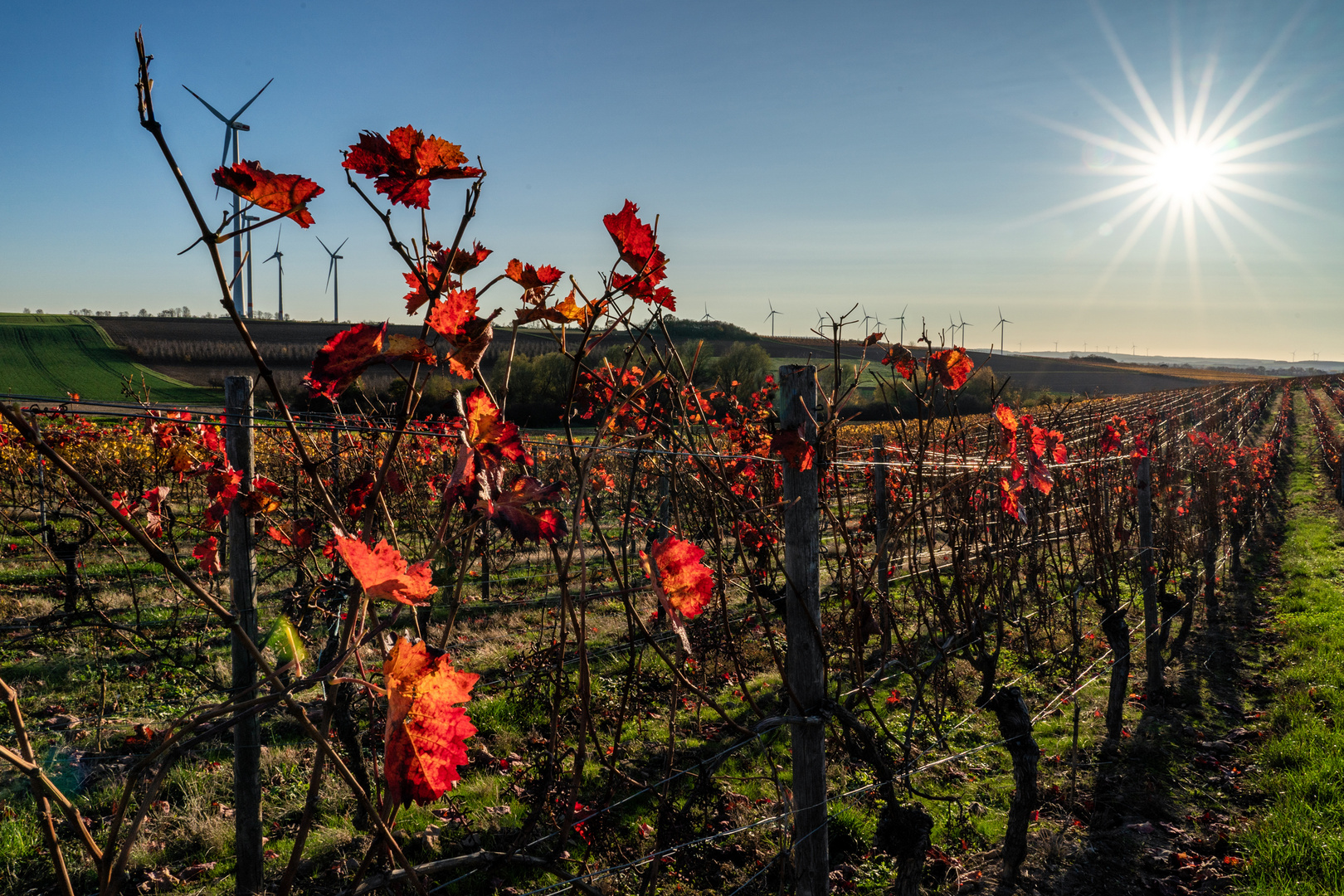 Noch ein Sonnenblick