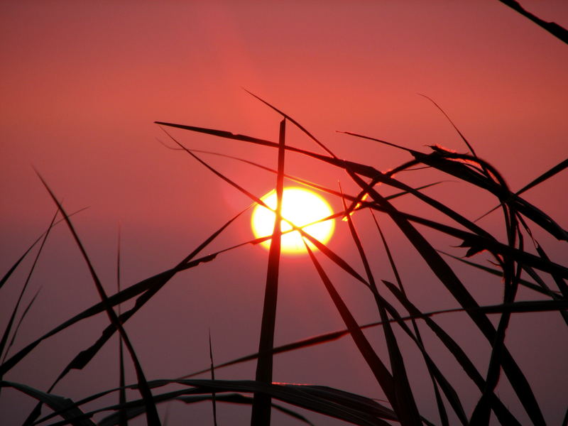 Noch ein Sonnenuntergang