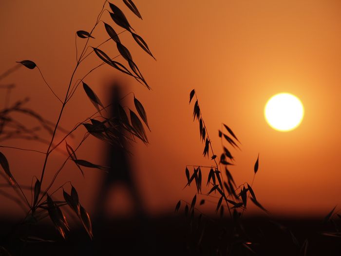 Noch ein Sonnenuntergang