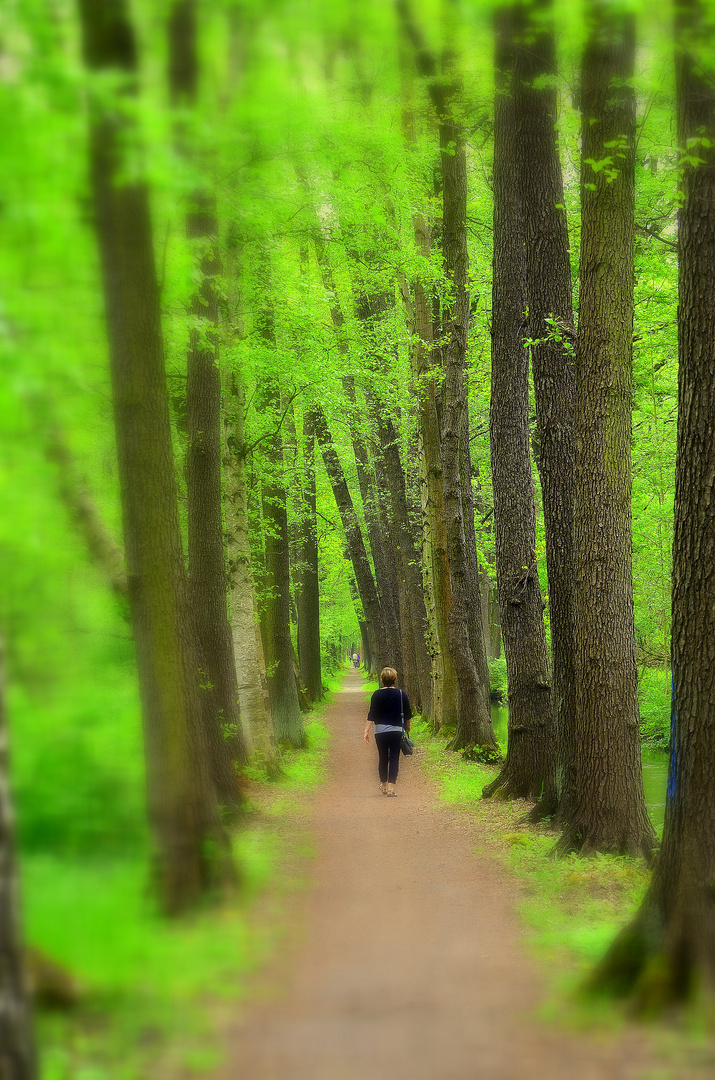 noch ein Spaziergang im Spreewald