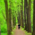 noch ein Spaziergang im Spreewald