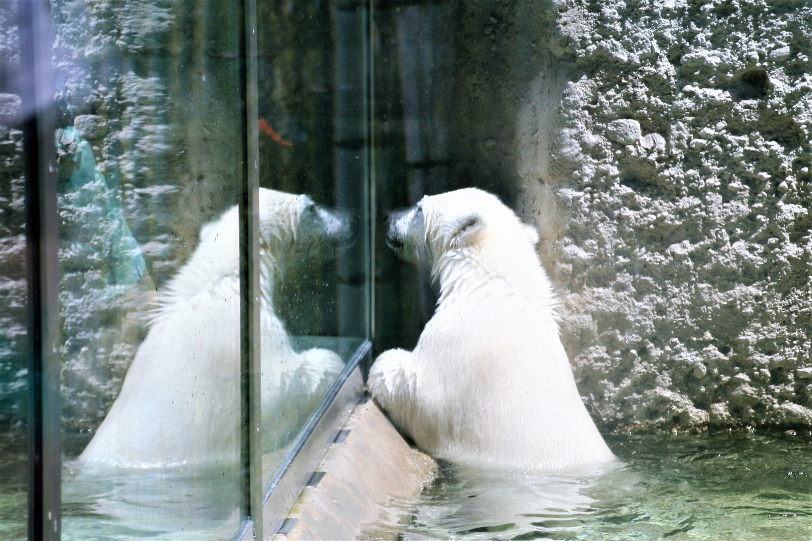 Noch ein Spiegelbild