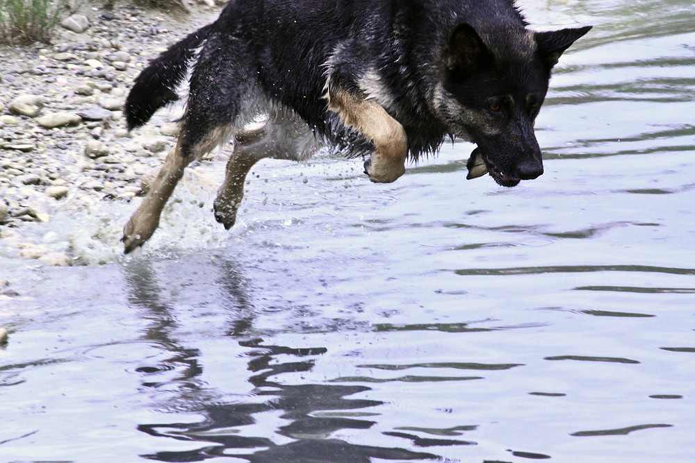 Noch ein Sprung ins Wasser