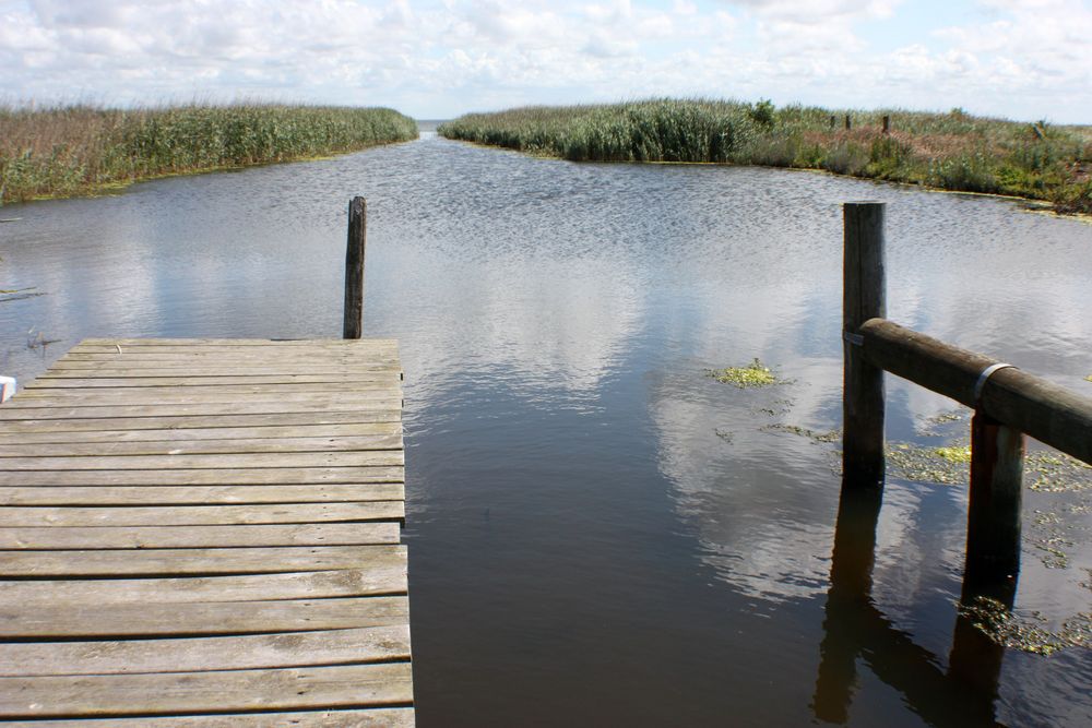 ..noch ein Steg am Ringkobingfjord