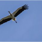 noch ein Überflug