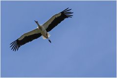 noch ein Überflug