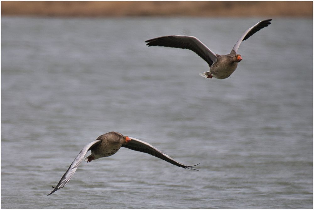 noch ein Vorbeiflug