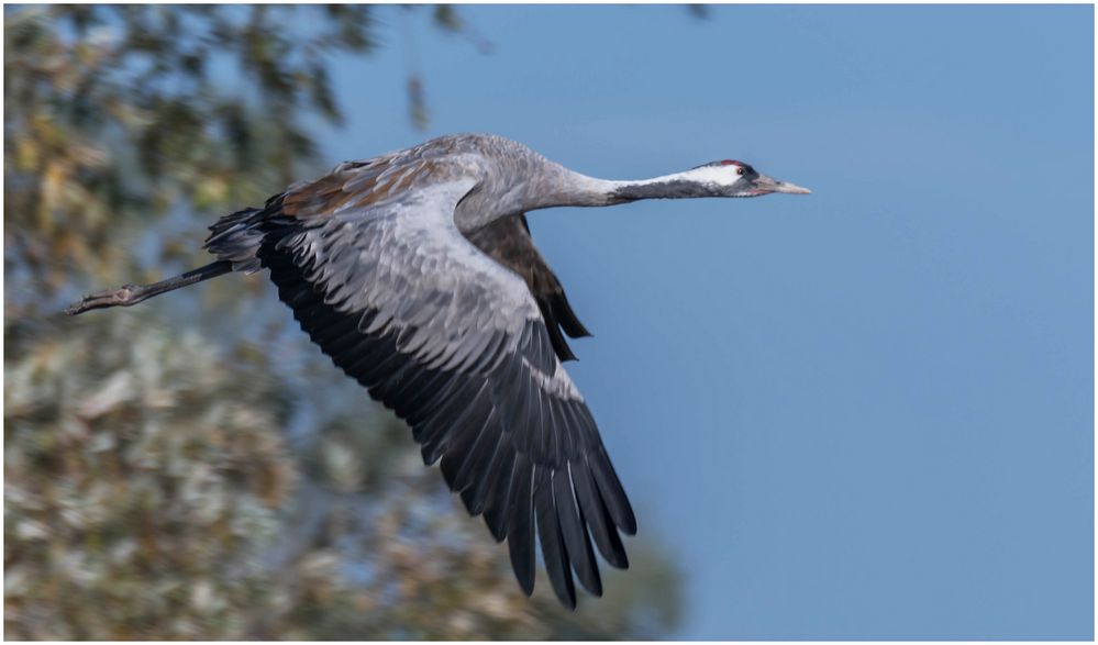 noch ein Vorbeiflug