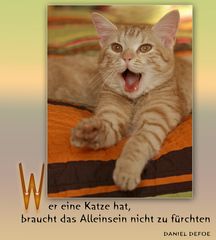 Noch ein wahrer Spruch....