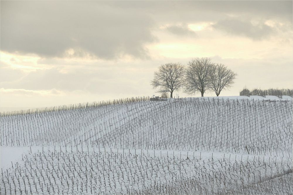 Noch ein Weilchen...