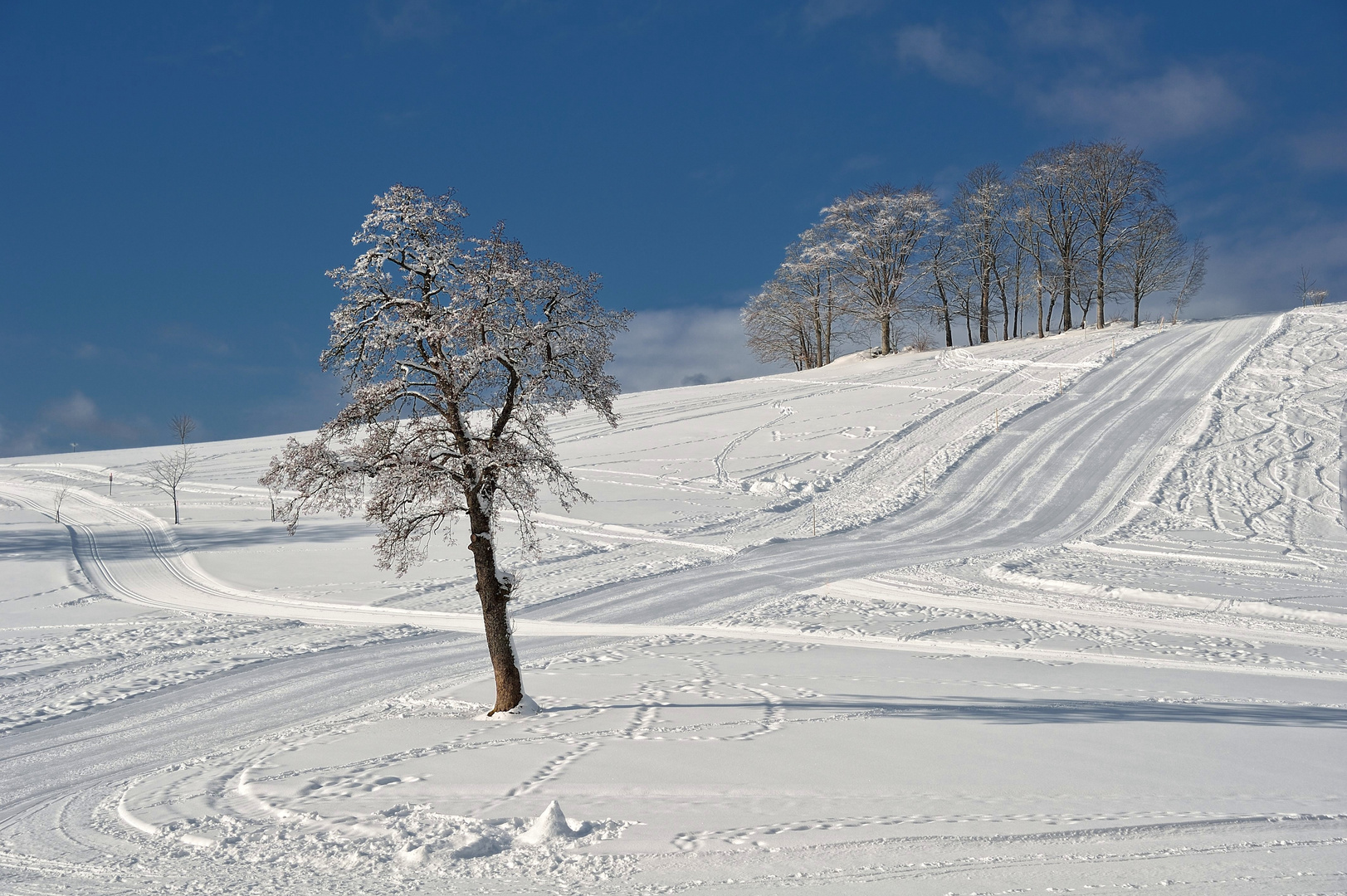 Noch ein weiterer frostiger Tag