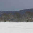 Noch ein wenig Schnee gefällig?