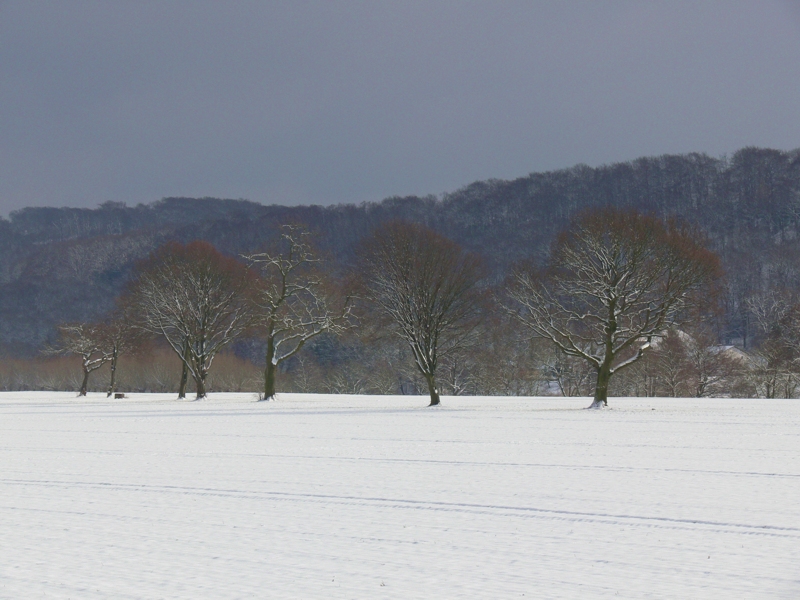 Noch ein wenig Schnee gefällig?