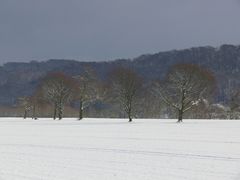 Noch ein wenig Schnee gefällig?