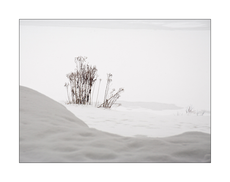 Noch ein Winterbild, weil er so schön ist...