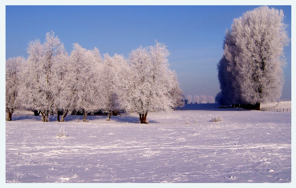 Noch ein Winterfoto....