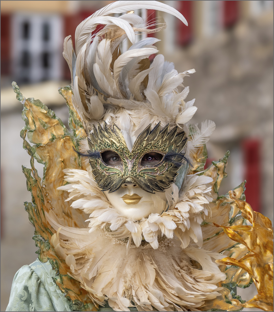 Noch eine Maske/ein Kostüm von Hallia Venezia