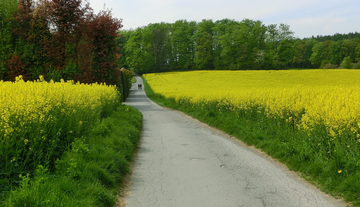 Noch eine meiner Lieblingsstraßen