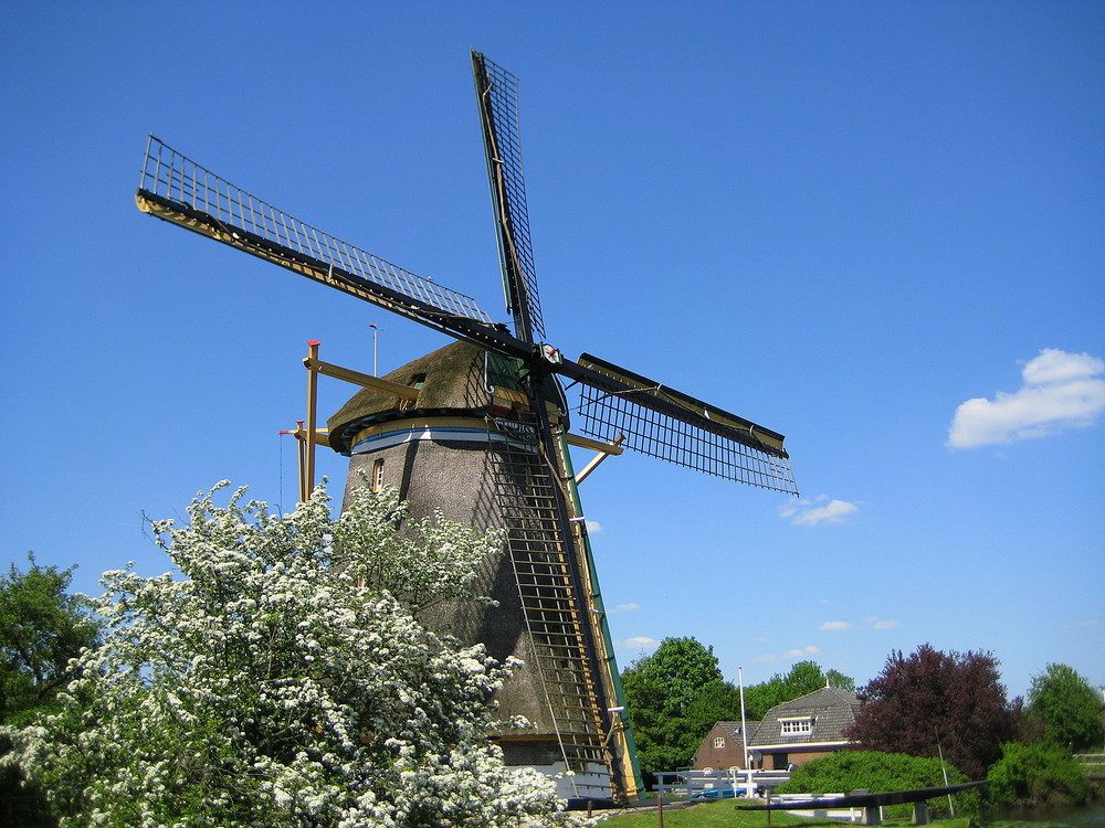 Noch eine Mühle in Maarssen