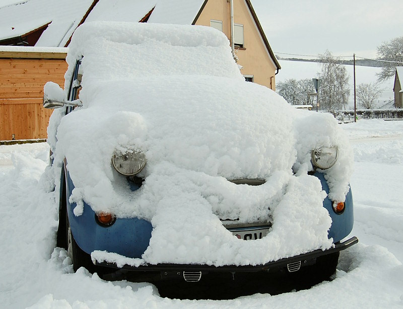 noch eine Schnee-Ente