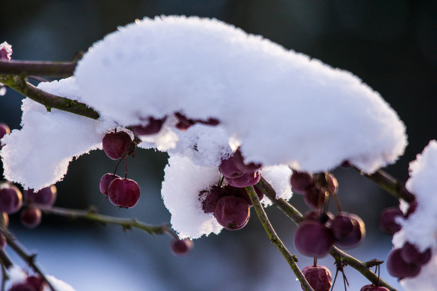 Noch eine Schneemütze