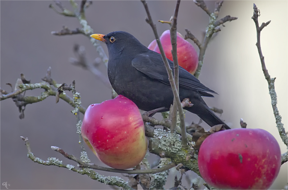 Noch eine Stärkung vor dem Winter