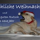 Noch eine Weihnachtskarte