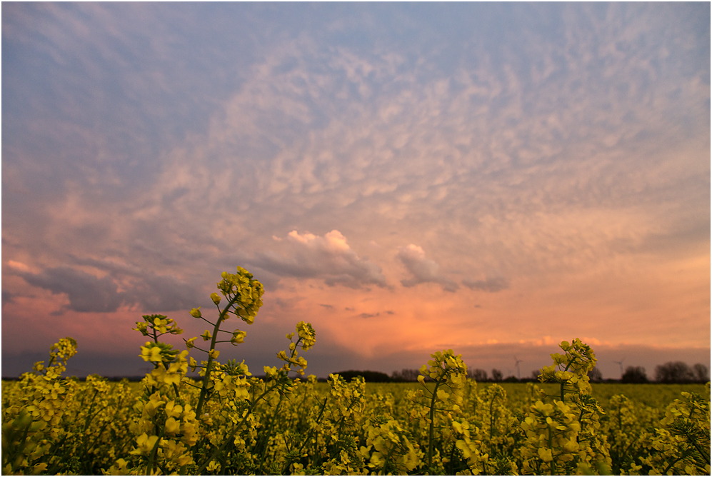 Noch eine Wolke..