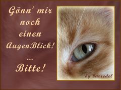 "... noch einen AugenBlick, bitte!"